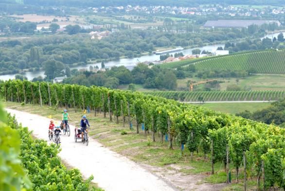 Randonnée à vélo - Moselle
