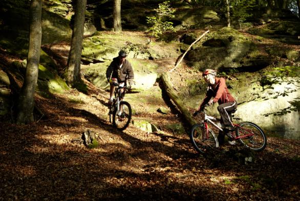 VTT en nature