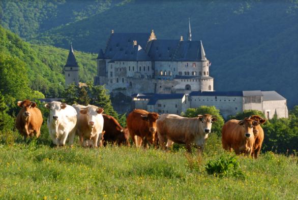 Top 5 sentiers châteaux