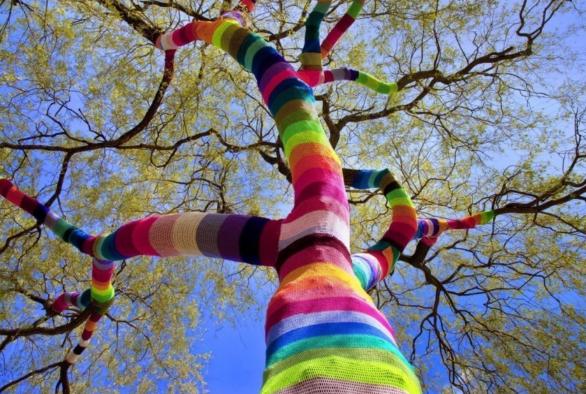 Patrimoine paysager - arbre