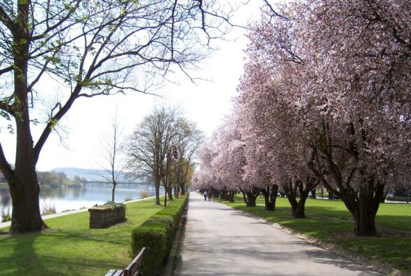 Slow tourism - Promenade au bord de la Moselle