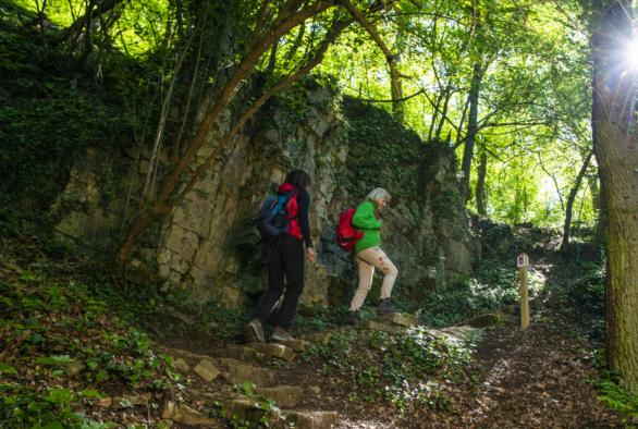 Randonnées pédestres Moselle