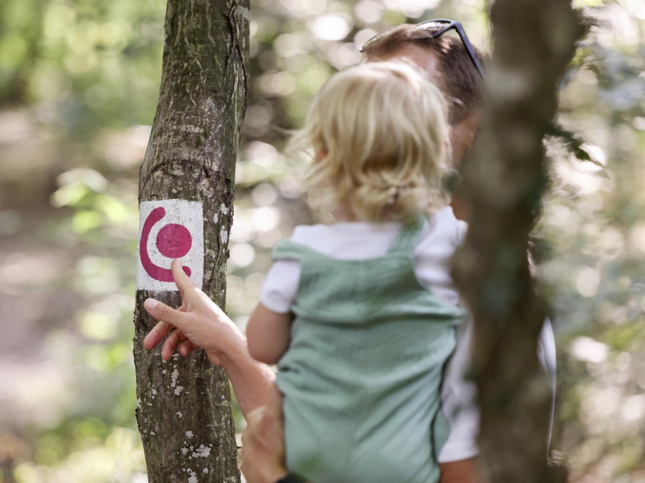 Image - Sentier de randonnée confort - signalétique