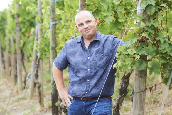Homme dans un vignoble