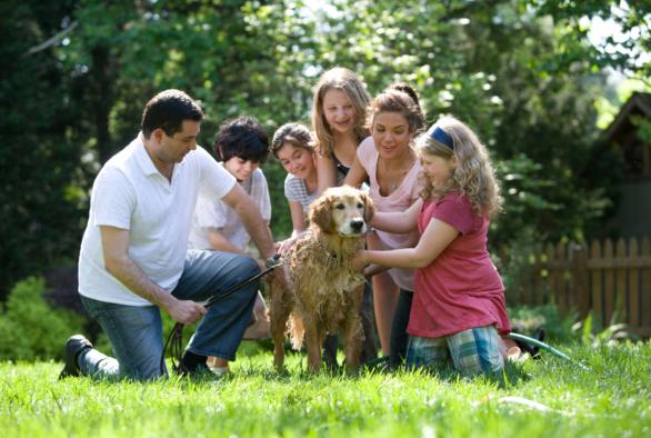 Aides familiales